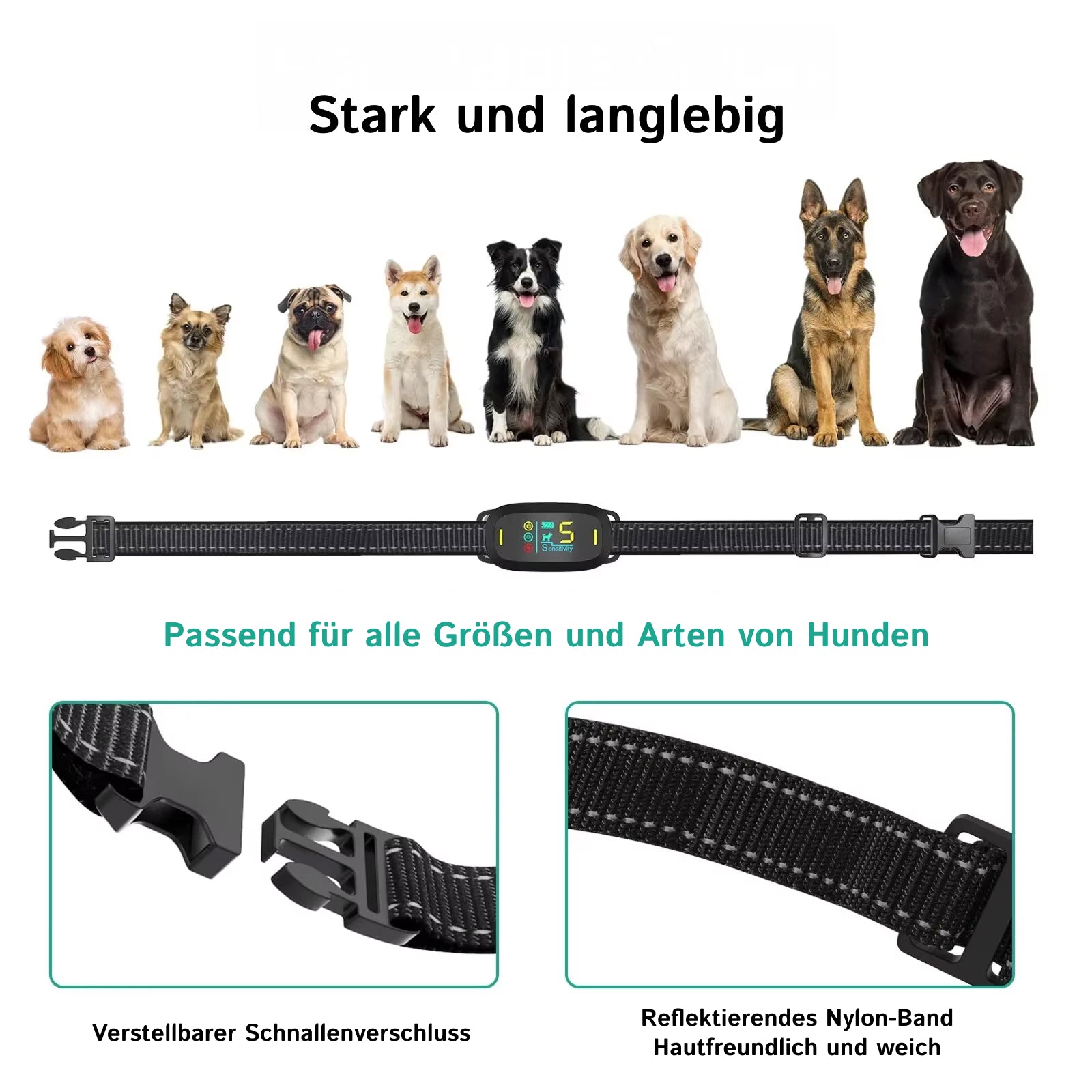 DogConny