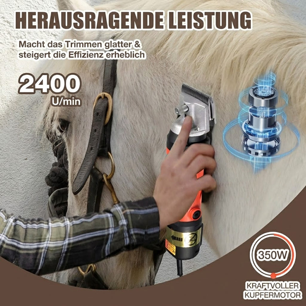 HorsyTrim