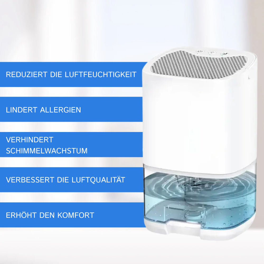 HydroFrest