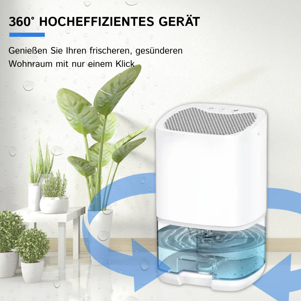HydroFrest