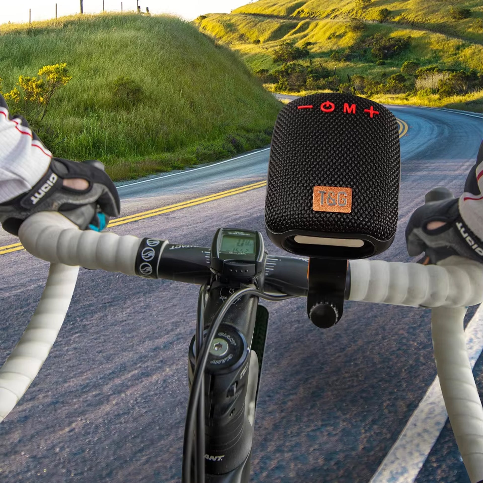 PedalVoxi