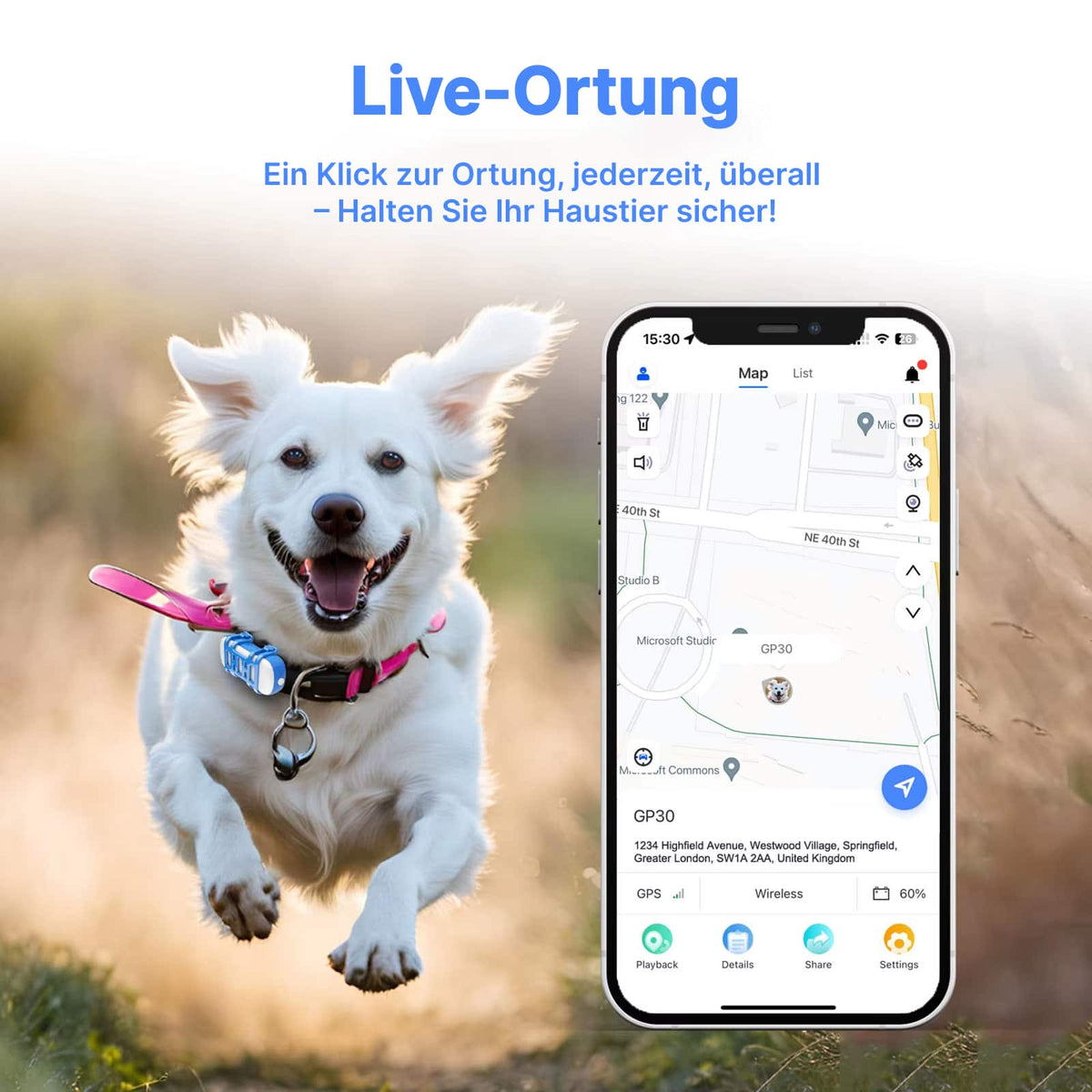 PurrGPS 2.0