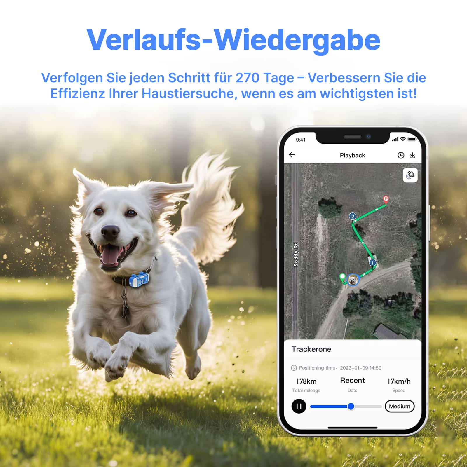 PurrGPS 2.0