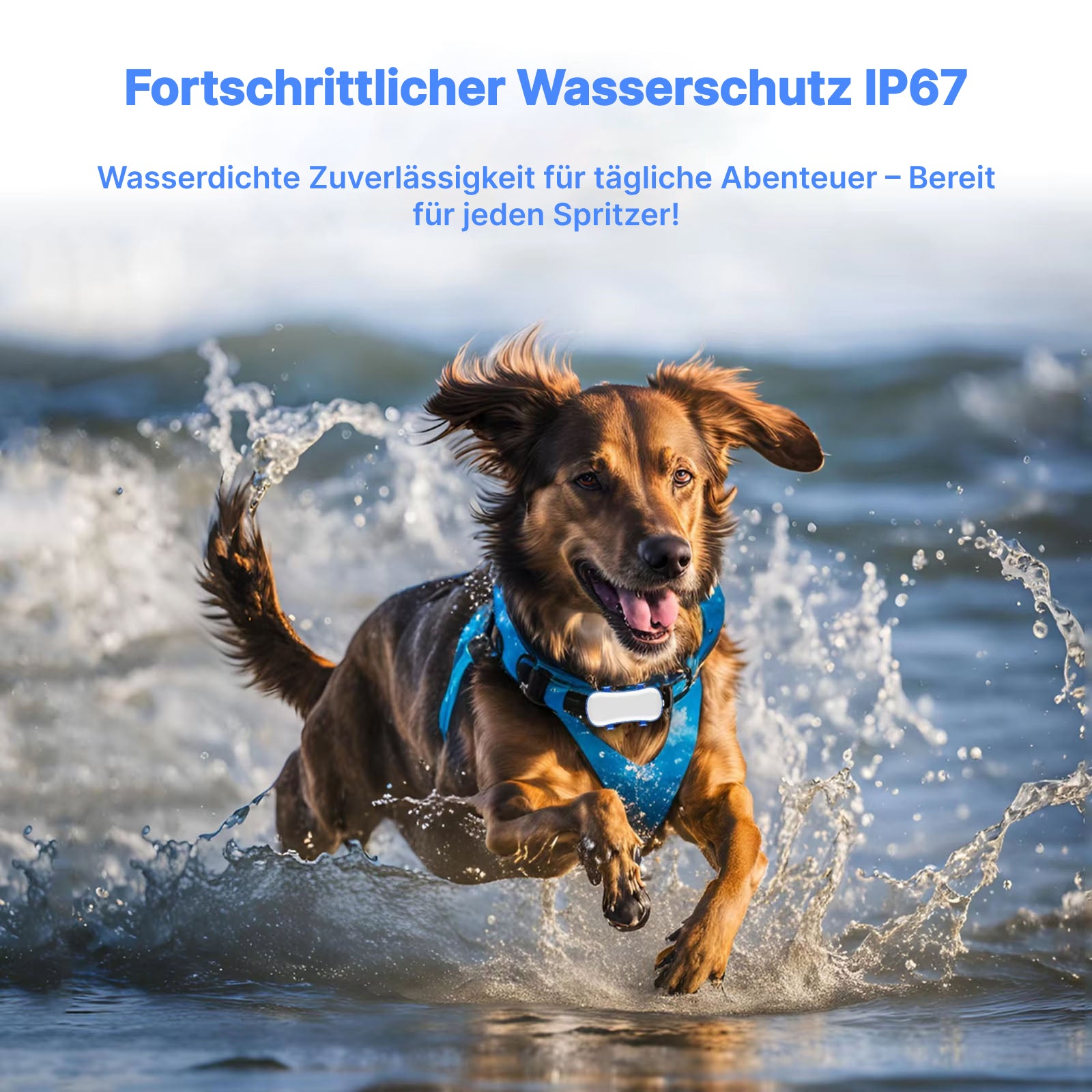PupPinpoint 2.0