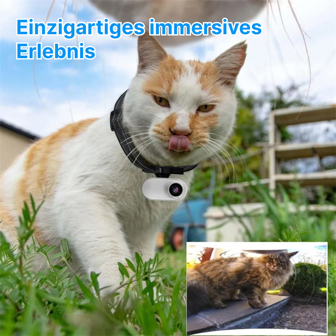 snap-purr-img-de-03.jpg__PID:76835e94-9838-48e1-abce-13770abe6ed9