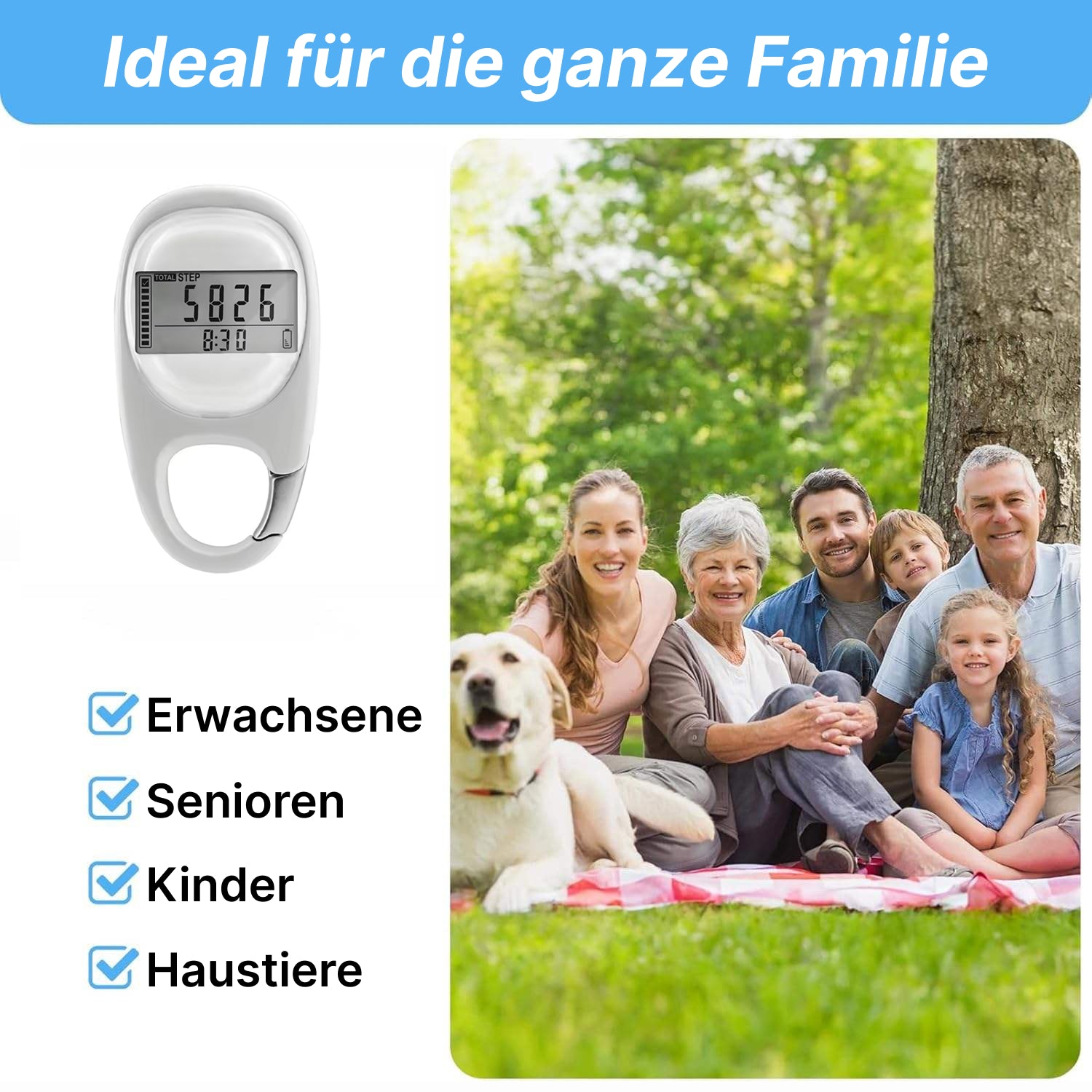 StepWizel