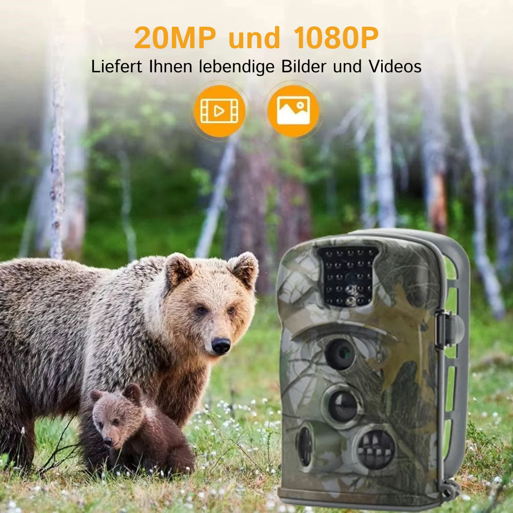 WildSnap