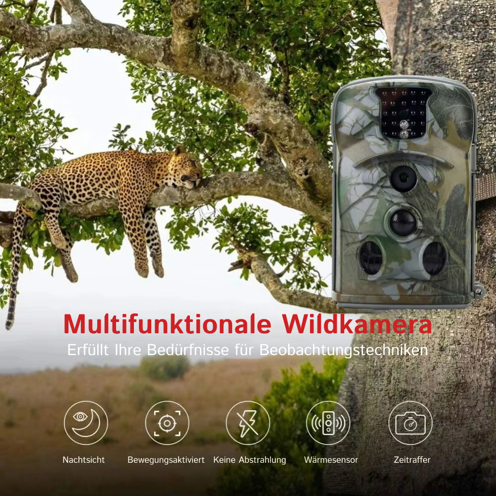 WildSnap
