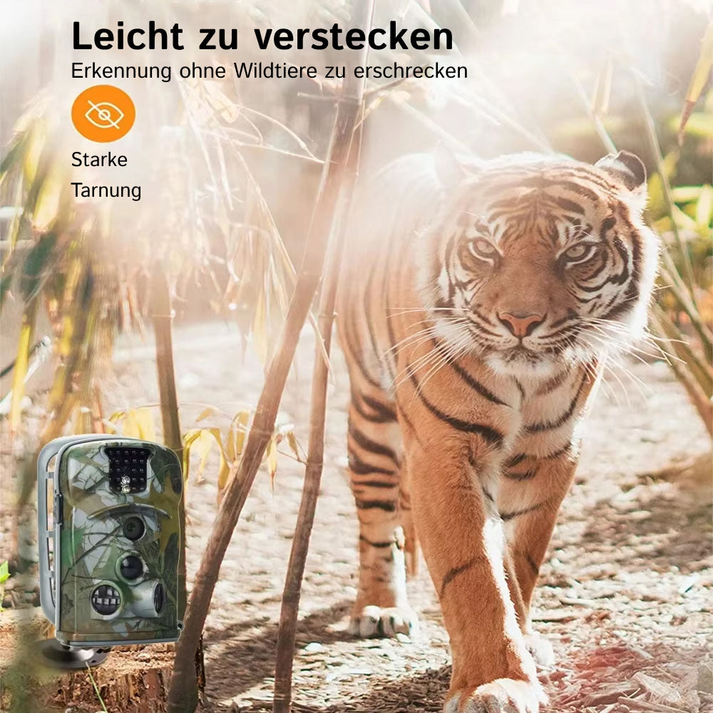 WildSnap