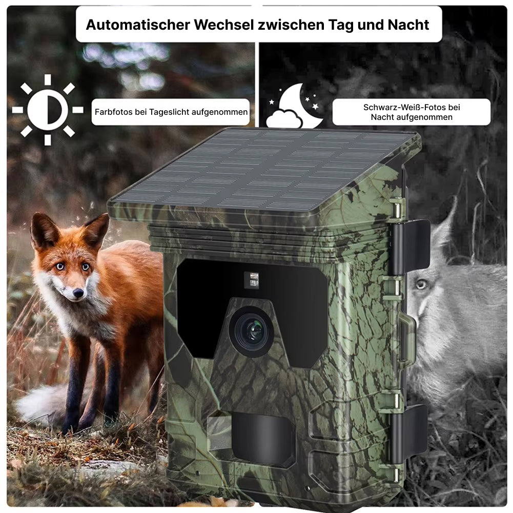 WildSnap v2